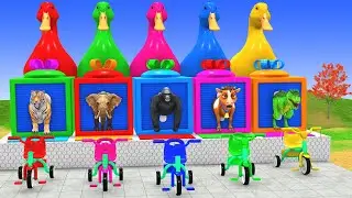 Long Slide Game with Cow Elephant Gorilla Hippopotamus Tiger 3d Animal Game Funny 3d Animals