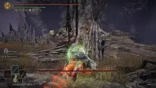 ELDEN RING This tree had 0 chance against my Bleed Build
