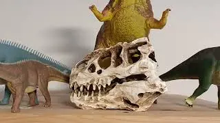 Prehistoric & Modern Animal Shelves 6/19/2022