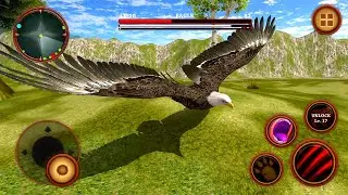 Wild Eagle Survival Simulator Android Gameplay #1