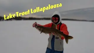 Locked In On Lake Trout: Plucking Mud Hens From the Deep