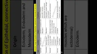 Function, location & origin of epithelial, connective, muscular and nervous tissue | neet biology 