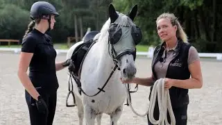 Unwilligem Knabstrupper wird Beine gemacht &ndash; Stute wurde nur im Gel&auml;nde angeritten