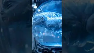 Shocking discovery #history #horror #facts #scary #alien