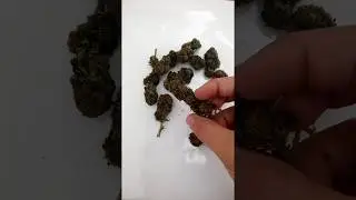 Ingrosso Canapa Light Red Passion | Fornitore CBD