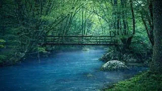 Night Rain & Native American Flute | Relaxing Nature Sounds for Deep Sleep