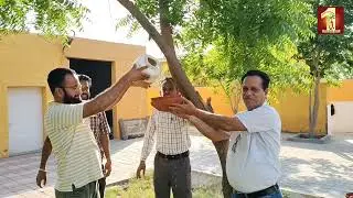 Placing Water Pots & Bird Feeders