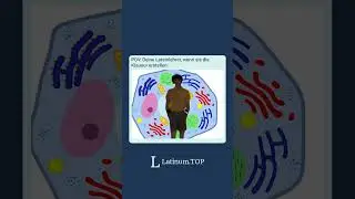 Wer fragt sich auch immer wie Lateinlehrer Klausuren erstellen? #latein #lateinmeme #meme #schule