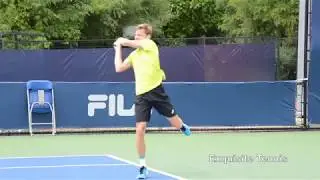 David Goffin Backhands in Slow Motion