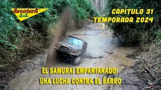 Explorando las Cuevas Secretas de Playa Colún: Aventura 4x4 y Misterio