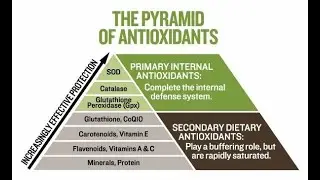 Deep Dive Nrf2 Science and Oxidative Stress - Nutrigenomics and Biohacking - Educational Series