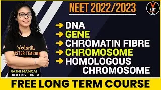 ДНК, ген, хроматиновое волокно, хромосома и гомологичная хромосома | NEET 2022 | Биология NEET