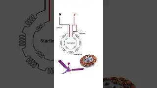 Ceiling fan winding diagram #shorts #viral #youtubeshorts #shortvideo #viralvideo #electronic