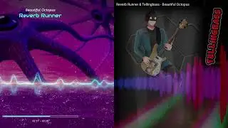 [Chillwave] Reverb Runner & Telling Bass - Beautiful Octopus (Telling Bass Mix)