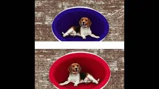😍Modern Fiberglass Ball Pet Chair/Bed😍