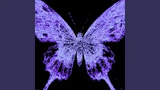 black butterfly spirit animal (original cassette jam)