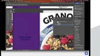 Webinar - Processing Steps Packaging
