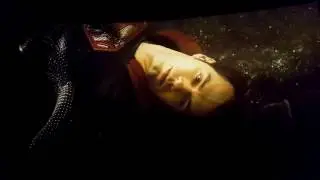 Batman V Superman : Final Stand