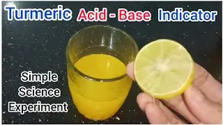Science Experiment With Lemon | Experiment For Science Exhibition| Turmeric Acid-Base indicator |