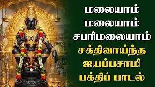 Malaiyam Malaiyam Sabari Malayam | Irumudi Bhajan at Home Shrine | Powerful Ayyappa Devotion