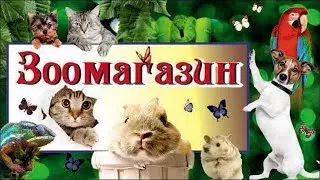 Классный зоомагазин! Где купить домашнего питомца Все для животных!| Cool pet store!All for animals!