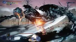 死儀礼の鳥 攻略3 執行者ソロ 【ELDENRING NIGHT REIGN】