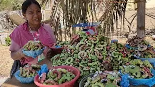 MASARAP NA KAMATCHILE NG SAN JOAQUIN ILOILO