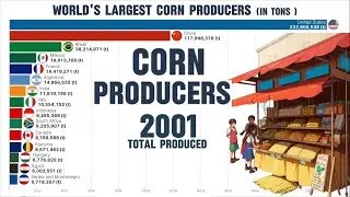 Top Countries in Producing Corn | FAO