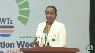 Partnership and Collaboration in Innovation Ecosystem