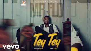 Mr Flo - Tey Tey (Audio)