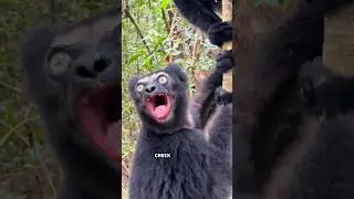 Her expression is shocking!
