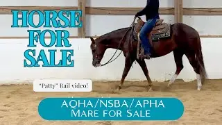 This beautiful western pleasure horse shines on the rail!
