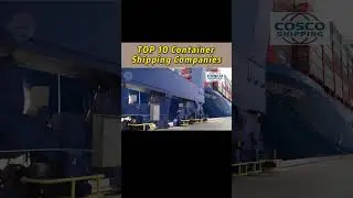 【TOP10】World Largest Container Shipping Company No.4 #freight #shipping #oceanfreight #logistics
