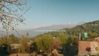 A Moment in the Himalayas - 4K Cinematic - Shot Sony A7S3 #travel #travelvlog #cinematic #himachal