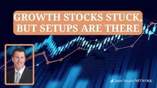 Growth Stocks Stuck, but Setups Are There | Cabot Weekly Review