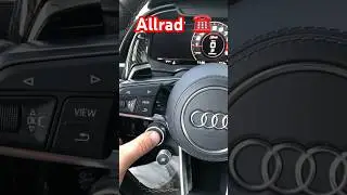 Allradantrieb 👑❤️⭐️ Suggeriert #Shorts #audiperfection #wetteronline #funnymoments