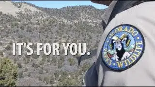 This job isn't for everyone