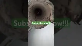 Dryer vent #viralvideo #new #diy #diy #nyc #moldprevention #home