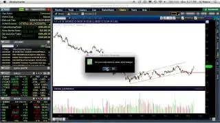 The Market Guys