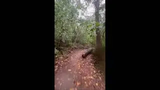 North Bank rainy trail run Richmond, VA