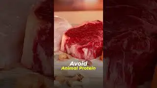 Does Excess Protein Intake Cause Gastritis? | Senior Cardiopulmonary Physiotherapist