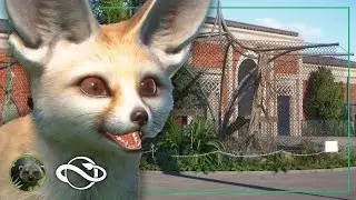 Строительство вольера для фенека в зоопарке Оуквуд! | Planet Zoo