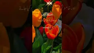 Surah Al Arraf || Quran Tilawat Translation in Urdu