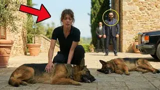 No One Could Save Mafia Boss's Dying German Shepherds — Until a Poor Waitress Did the Unthinkable