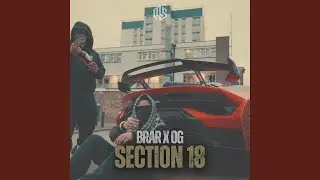 SECTION 18