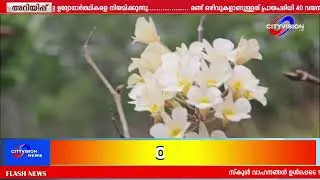 കേരളത്തിന്റെ കാടുകൾ ഇന്നും നമ്മളോട് പറയുന്നുണ്ട് ലോകത്തിന് തന്നെ അപൂർവമായ ജീവന്റെ കഥകൾ.