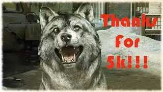 Thank You for 5k Subscribers and 200k Views!