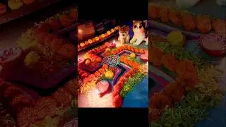 Colours of Diwali✨️❤️ #devartgallery