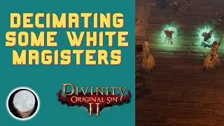 DECIMATING White Magisters  - A Patient Gamer Plays...Divinity Original Sin II: Part 52
