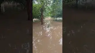 #MH Aurangabad#heavy rainfall#🌧️🌊